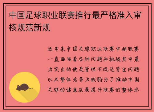 中国足球职业联赛推行最严格准入审核规范新规